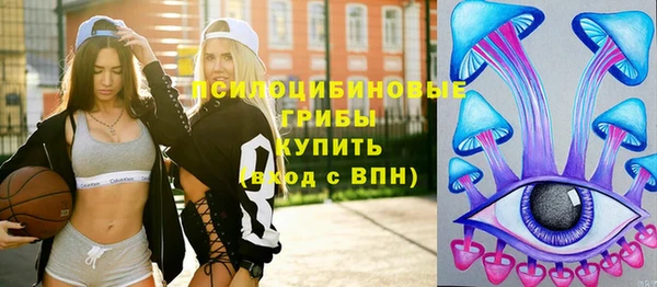 PSILOCYBIN Майский